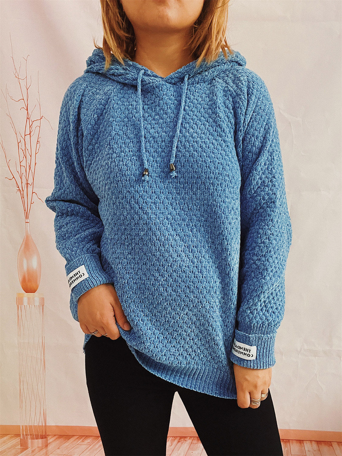 Buy sky-blue Drawstring Long Sleeve  Hooded Sweater